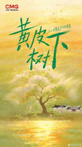 黄皮树下