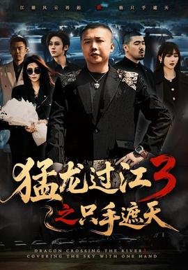 猛龙过江 3 之只手遮天